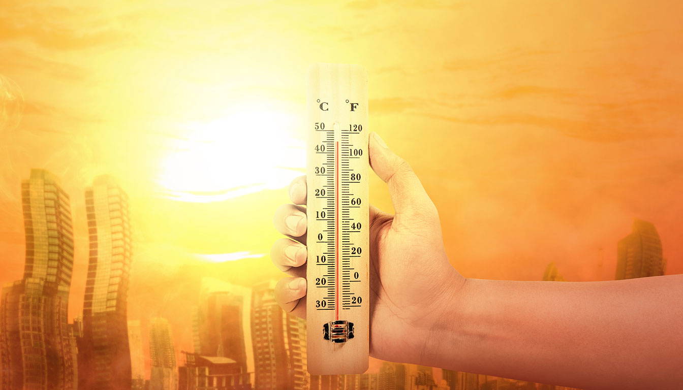 Benefits of Curtain Walling