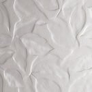 选项3的图片